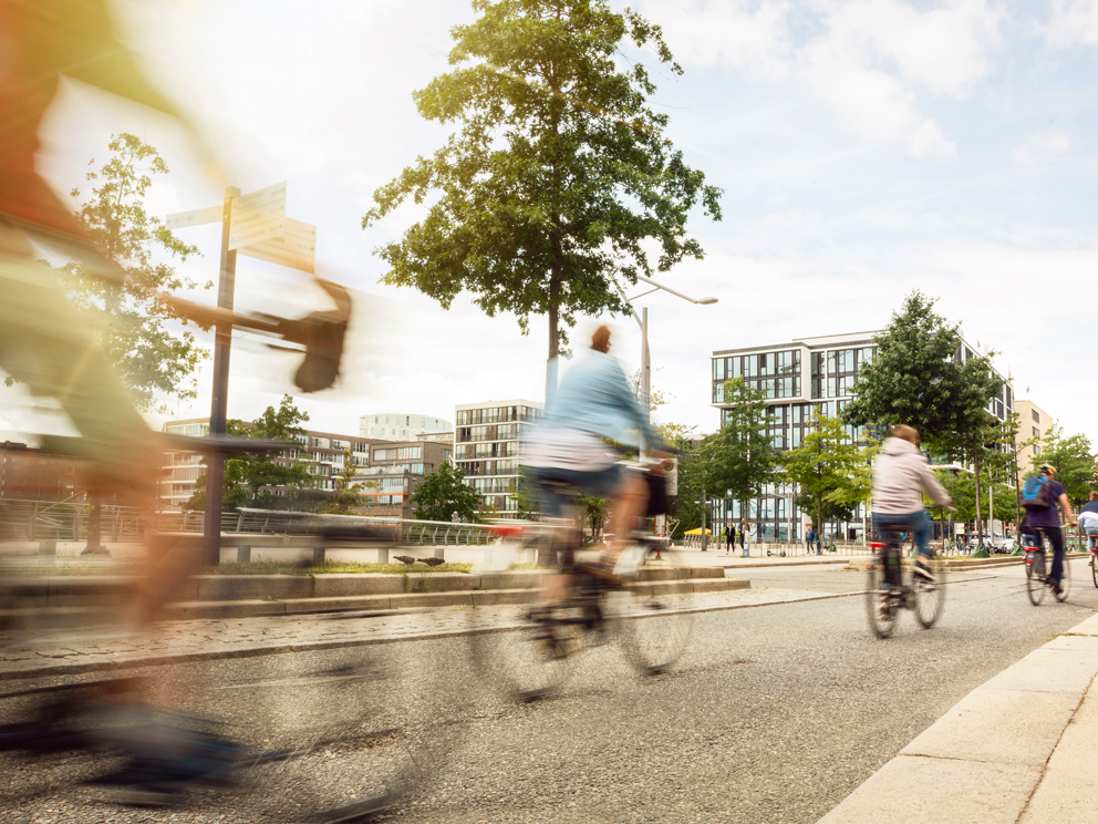 Il Portale ESG del Gruppo Cassa Centrale